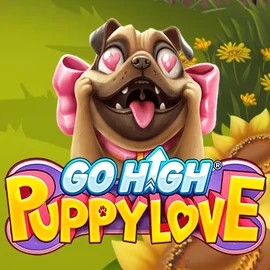 Go High Puppy Love casino game by RubyPlay – featured logo at Vegas Hero Casino