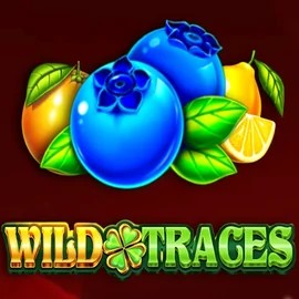 Wild Traces – slot by Amusnet Interactive, featured at vegasherocasinoo.com